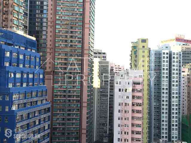 Poho - Universal Building 04