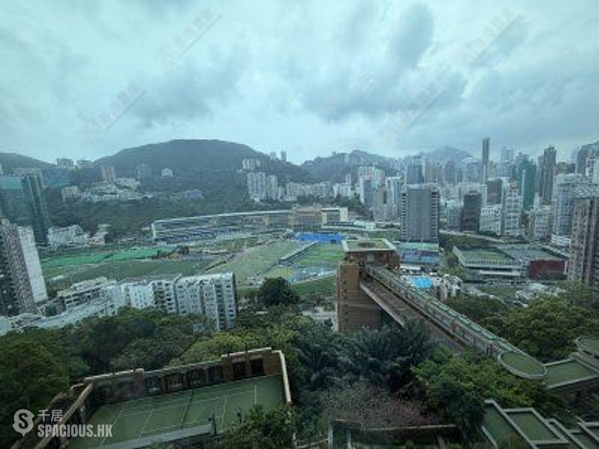 禮頓山 - 禮頓山 01