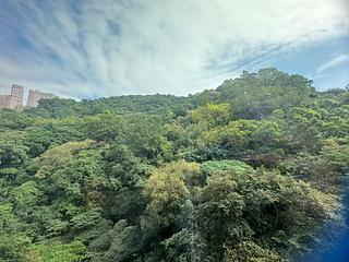 天后 - 柏傲山3座 03