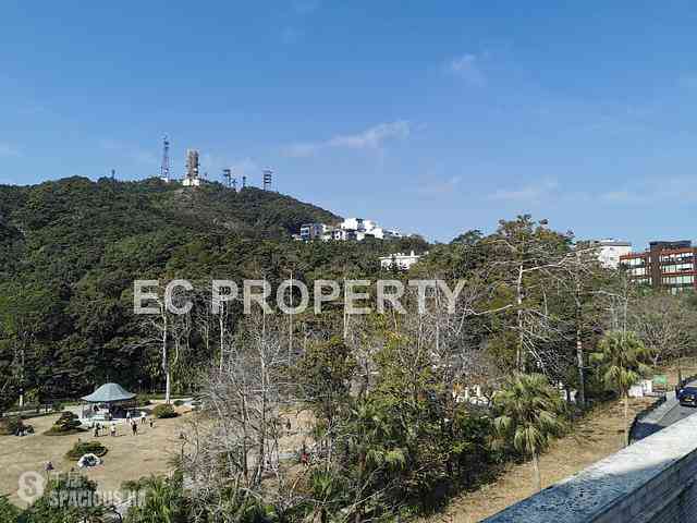 The Peak - The Mount Austin 07