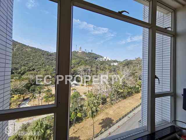 The Peak - The Mount Austin 13