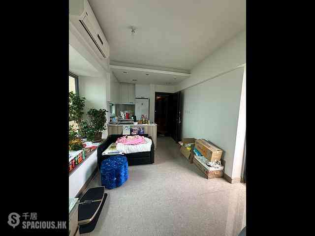 Causeway Bay - Diva 03