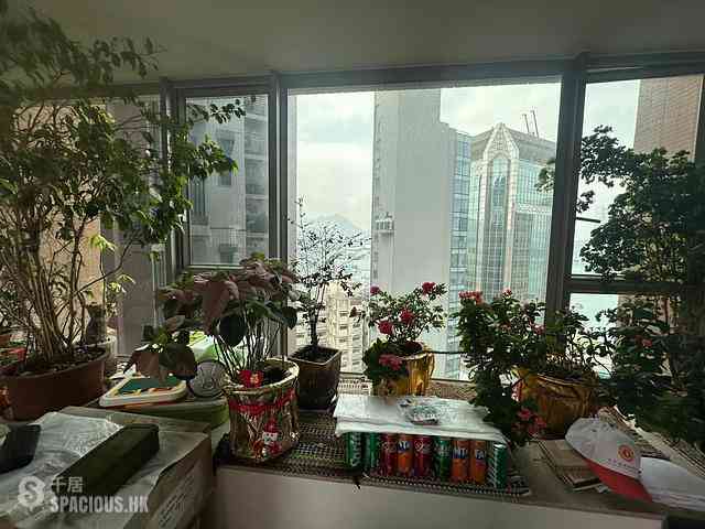 Causeway Bay - Diva 04