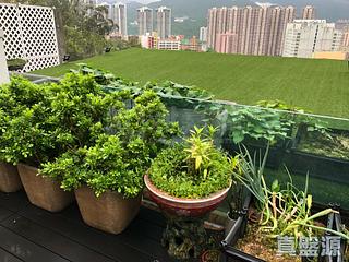 火炭 - 晉名峰 04