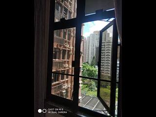 北角 - 華康大廈 08
