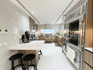 Shouson Hill - Orchid Hill 06