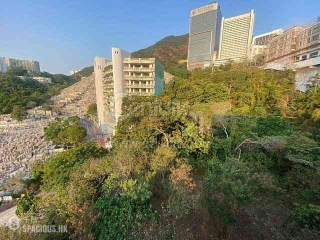 Pok Fu Lam - 3, Consort Rise 03