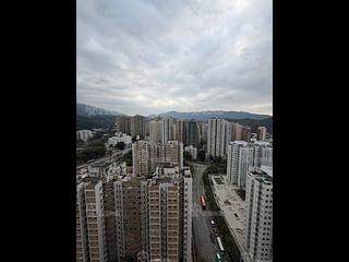 Tai Po - Fortune Plaza 07