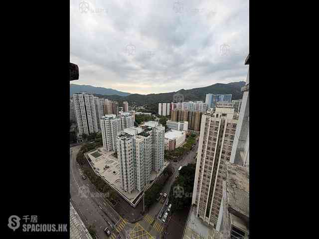 Tai Po - Fortune Plaza 08
