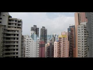 Sai Ying Pun - Reading Place 14
