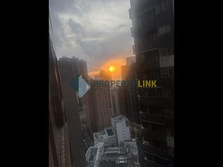 西營盤 - 學林雅軒 16