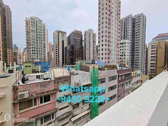 Poho - 52-54, Sai Street 11