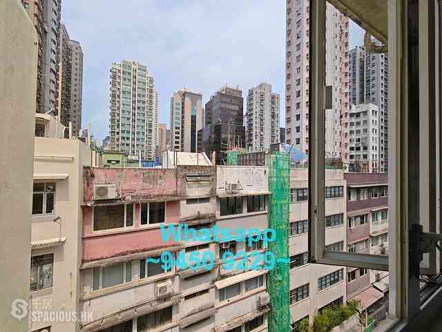 Poho - 52-54, Sai Street 13