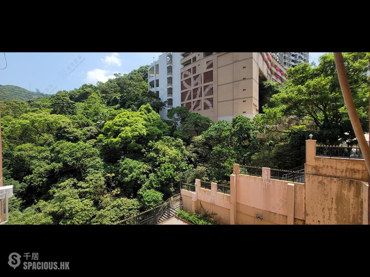 大坑 - 大坑台 01