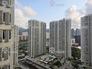 Sha Tin - Lucky Plaza 11