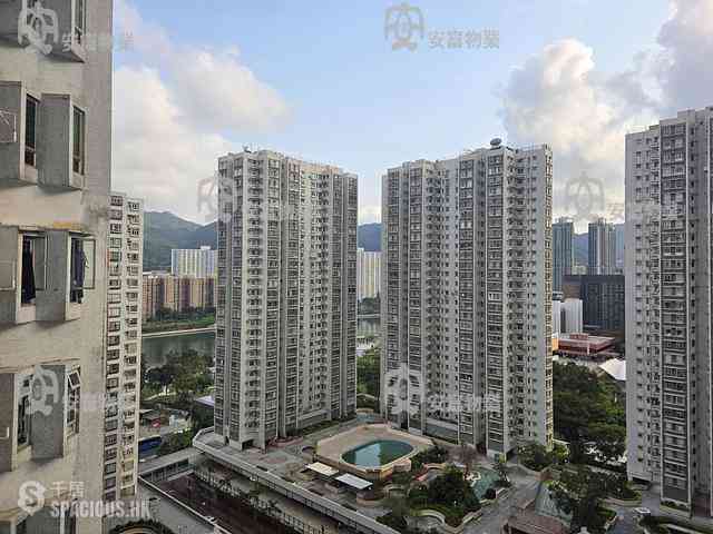 Sha Tin - Lucky Plaza 18