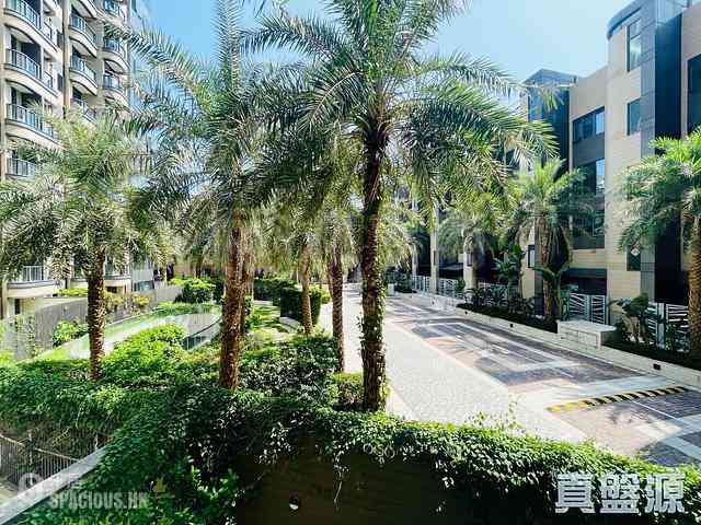 Tseung Kwan O - Alto Residences 01