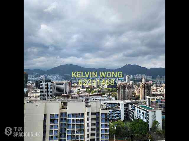 Ho Man Tin - Mantin Heights 02