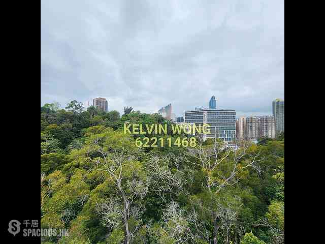 Yau Ma Tei - King's Park Hill 10
