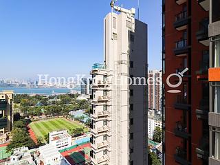 Causeway Bay - Jones Hive 02