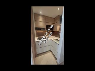 Jordan - Arbour 06