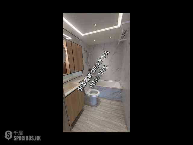 Jordan - Arbour 07
