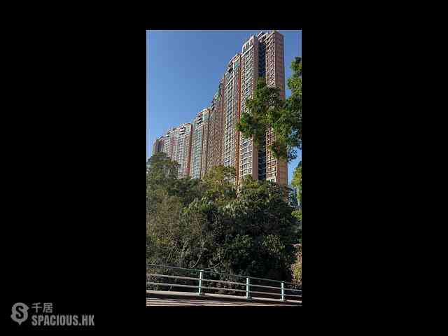 Leighton Hill - The Leighton Hill 02