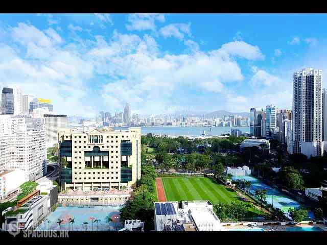Tai Hang - Coho 05
