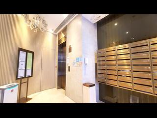 Tai Hang - Coho 25