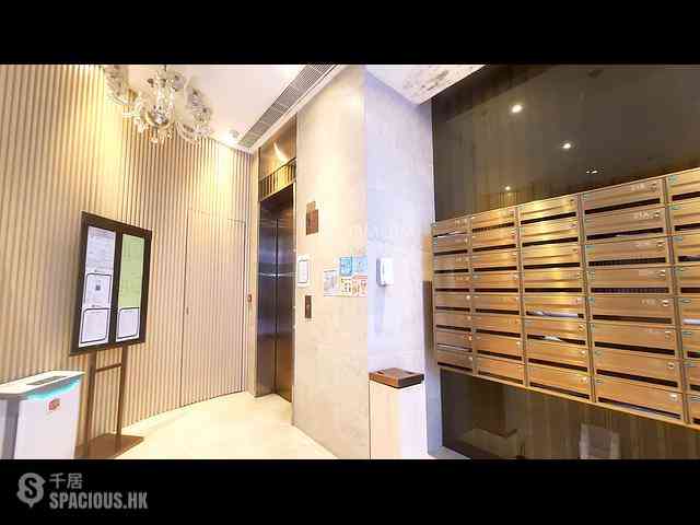 Tai Hang - Coho 25