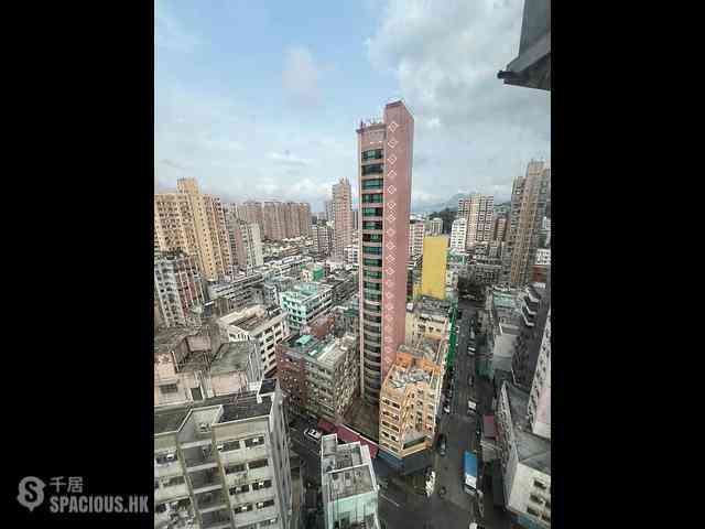 Tai Po - Mountain View Court 01