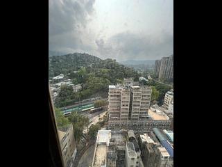 Tai Po - Mountain View Court 02