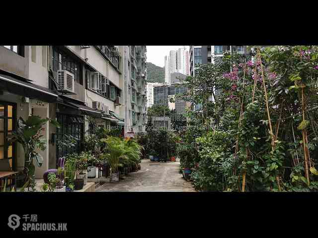 Kennedy Town - 6-7, Tai Pak Terrace 01