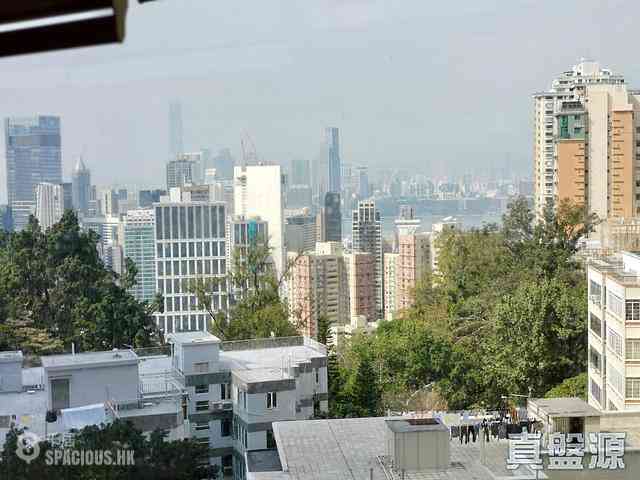 Tai Hang - Park Garden 02