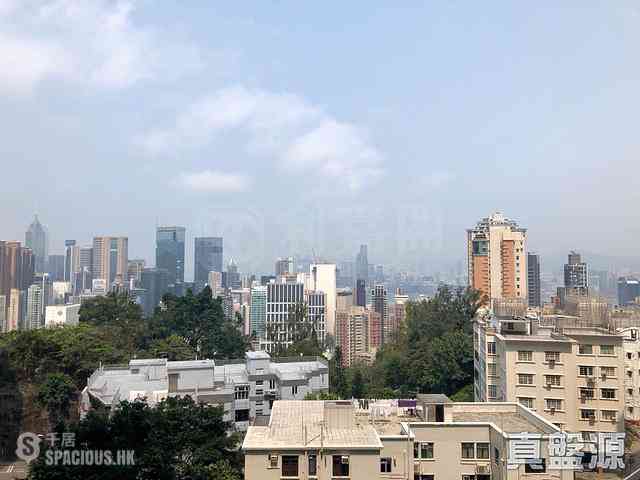 Tai Hang - Park Garden 03