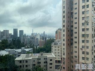 大坑 - 柏園 04