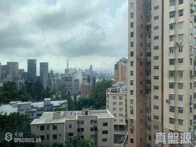 Tai Hang - Park Garden 04