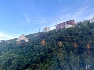 中半山 - 世纪大厦2座 05