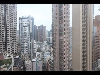 苏豪 - 伊利阁 10