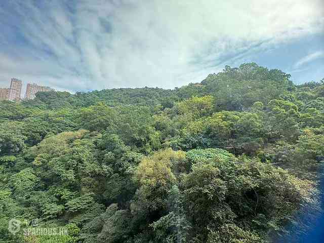 天后 - 柏傲山3座 01