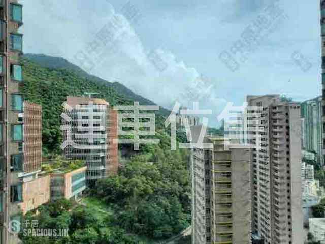 Shek Tong Tsui - The Belcher's 01