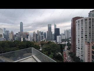 中半山 - 羅便臣道1號 08