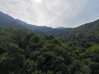 西半山 - 杏彤苑 09