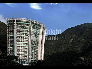 浅水湾 - The Lily 09