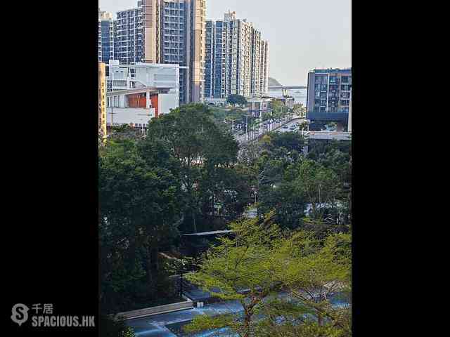 Tseung Kwan O - The Wings IIIB 01