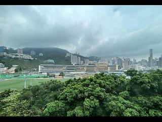 Happy Valley - Race Course Mansion 13