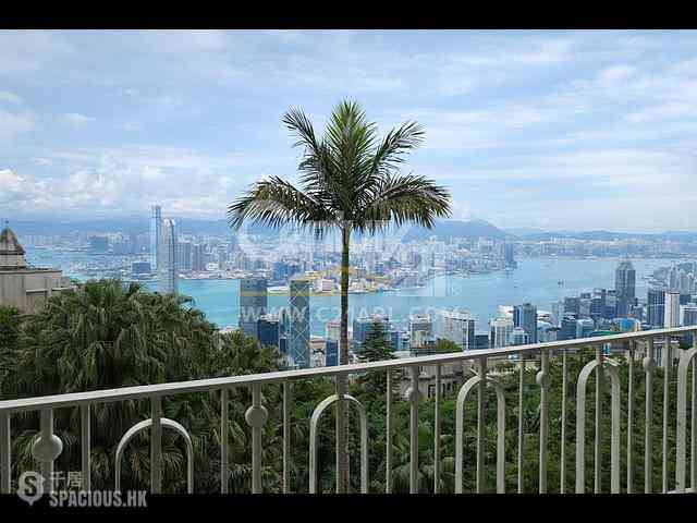 The Peak - Fung Shui 01