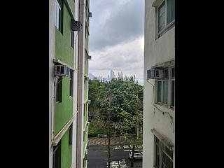 Tin Hau - Viking Garden 08