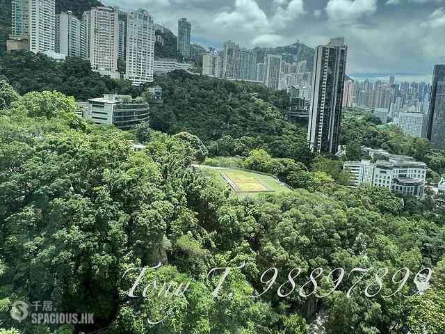 東半山 - 萬信台 01