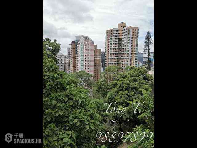 東半山 - 万信台 09